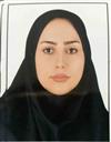علوم انسانی مجموعه جغرافیا جغرافیا و برنامه ریزی شهری