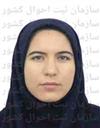 علوم انسانی مجموعه علوم اقتصادی علوم اقتصادی