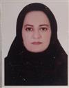 علوم انسانی مجموعه زبان و ادبیات فارسی زبان و ادبیات فارسی