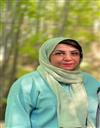 علوم پایه مجموعه ریاضی ریاضی محض - جبر