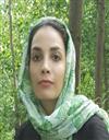 علوم انسانی مجموعه حسابداری و مدیریت مالی مدیریت مالی